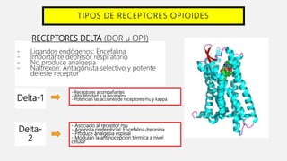 TIPOS DE RECEPTORES OPIOIDES
RECEPTORES DELTA (DOR u OP1)
- Ligandos endógenos: Encefalina
- Importante depresor respiratorio
- No produce analgesia
- Naltrexon: Antagonista selectivo y potente
de este receptor
- Receptores acompañantes
- Alta afinidad a la encefalina
- Potencian las acciones de receptores mu y kappa
- Asociado al receptor mu
- Agonista preferencial: Encefalina-treonina
- Produce analgesia espinal
- Modulan la antinocepcion térmica a nivel
celular
Delta-1
Delta-
2
 