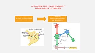 ALTERACIONES DEL ESTADO DE ÁNIMO Y
PROPIEDADES DE RECOMPENSA
Euforia, tranquilidad
Sistema
mesocorticolímbico
de dopamina
 
