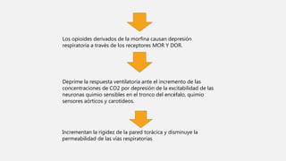 Los opioides derivados de la morfina causan depresión
respiratoria a través de los receptores MOR Y DOR.
Deprime la respuesta ventilatoria ante el incremento de las
concentraciones de CO2 por depresión de la excitabilidad de las
neuronas quimio sensibles en el tronco del encéfalo, quimio
sensores aórticos y carotídeos.
Incrementan la rigidez de la pared torácica y disminuye la
permeabilidad de las vías respiratorias
 