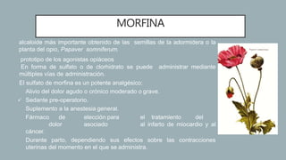 MORFINA
• alcaloide más importante obtenido de las semillas de la adormidera o la
planta del opio, Papaver somniferum.
• prototipo de los agonistas opiáceos
• En forma de sulfato o de clorhidrato se puede administrar mediante
múltiples vías de administración.
• El sulfato de morfina es un potente analgésico:
 Alivio del dolor agudo o crónico moderado o grave.
 Sedante pre-operatorio.
 Suplemento a la anestesia general.
 Fármaco de elección para el tratamiento del
dolor asociado al infarto de miocardio y al
cáncer.
 Durante parto, dependiendo sus efectos sobre las contracciones
uterinas del momento en el que se administra.
 