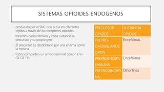 SISTEMAS OPIOIDES ENDOGENOS
• producida por el SNC que actúa en diferentes
tejidos a través de los receptores opioides.
• tenemos barias familias y cada sustancia su
precursor, y su propio gen
• El precursor es desdoblado por una enzima como
la tripsina
• todos comparten un amino terminal común (Tir-
Gli-Gli-Fe)
PRECURSOR
OPIOIDE
SUSTANCIA
OPIOIDE
PREPRO-
OPIOMELANOC
ORTIN
Encefalinas
PREPROENCEFA
LINALINA
Encefalinas
PREPRODINORFI
NA
Dinorfinas
 