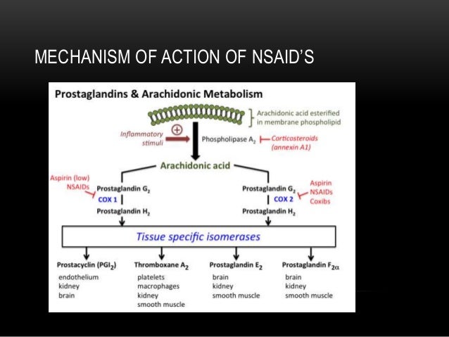 paracetamol 4 a day (painkillers) Analgesics