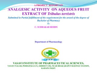 A PROJECT REPORT ON
ANALGESIC ACTIVITY ON AQUEOUS FRUIT
EXTRACT OF Tribulus terristris
Submitted in Partial fulfillment of the requirement for the award of the degree of
Bachelor of Pharmacy
By
C. SUDHAKAR REDDY
Department of Pharmacology
VASAVI INSTITUTE OF PHARMACEUTICAL SCIENCES,
VASAVI NAGAR, PEDDAPALLI (V), SIDHOUT (M), NEAR BHAKARAPET RAILWAY STATION,
KADAPA 516247.
 