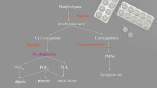 Analgesic Agent and mechanism of action.pptx