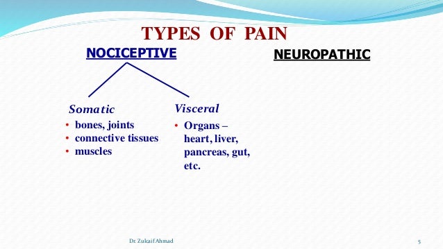 analgesic and facilitator pain assessment Department of anesthesia, university of iowa hospitals and clinics, iowa city, iowa analgesic protocols, efficacy, and outcomes for acute postoperative pain management have been studied extensively and are widely adopted1 in this issue of anesthesiology, payen et al 2 report analyses of data from the dolorea study, a prospective, multicenter, . analgesic and facilitator pain assessment Department of anesthesia, university of iowa hospitals and clinics, iowa city, iowa analgesic protocols, efficacy, and outcomes for acute postoperative pain management have been studied extensively and are widely adopted1 in this issue of anesthesiology, payen et al 2 report analyses of data from the dolorea study, a prospective, multicenter, .