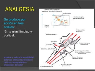 ANALGESIA
Se produce por
acción en tres
niveles:
3.- a nivel límbico y
cortical.
suprime y reduce la sensibilidad
dolorosa atenúa la percepción
del tono desagradable o
angustioso del dolor
 