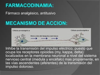 FARMACODINAMIA:
Fármaco analgésico, antitusivo
MECANISMO DE ACCION:
Inhibe la transmisión del impulso eléctrico, puesto que
ocupa los receptores opioides (my, kappa, delta)
localizados en la membrana neuronal a nivel del sistema
nervioso central (medula y encéfalo) mas propiamente, en
las vías ascendentes (aferentes) de la transmisión del
impulso doloroso.
 