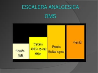 ESCALERA ANALGESICA
OMS
 