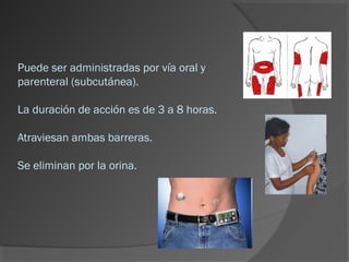 Puede ser administradas por vía oral y
parenteral (subcutánea).
La duración de acción es de 3 a 8 horas.
Atraviesan ambas barreras.
Se eliminan por la orina.
 