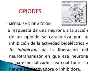 MECANISMO DE ACCION: la respuesta de una neurona a la acción de un opioide se caracteriza por:  a)  inhibición de la actividad bioeléctrica y  b) inhibición de  la liberación del neurotransmisor en que esa neurona se ha especializado, sea cual fuere su naturaleza, activadora o inhibidora . 