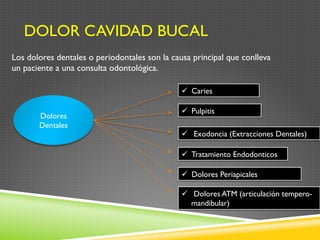DOLOR CAVIDAD BUCAL
Los dolores dentales o periodontales son la causa principal que conlleva
un paciente a una consulta odontológica.
Dolores
Dentales
ü  Caries
ü  Pulpitis
ü  Exodoncia (Extracciones Dentales)
ü  Tratamiento Endodonticos
ü  Dolores Periapicales
ü  Dolores ATM (articulación tempero-
mandibular)
 