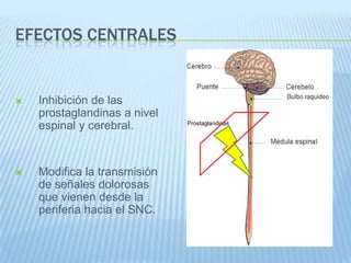 Mecanismos de acción de los AINEsMecanismos periféricosMecanismos centrales