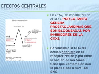 Mecanismos de accion a nivel periférico 1) Bloqueo de prostaglandinas:Bloquea la cascada del ácido araquidónico, inhibiendo la ciclooxigenasa (COX).La capacidad de la aspirina de bloquear las PG y ejercer su acción analgésica estaría relacionada a su estructura acídica, En cambio la dipirona ejerce su acción sobre el edema por su característica no acídica. 