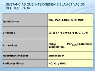 Mecanismos de accion a nivel periférico3) Estimulación de la vía del ON - GMPc :La liberación de óxido nítrico (ON) determina ↑GMPc restableciendo el equilibrio AMPc-GMPc en el sitio del nociceptor. Dipirona --- Analgesia por ON
