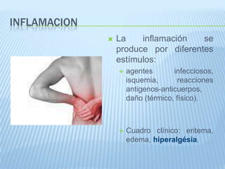 COX 2COX 1Su expresión no se inhibe por los grupos corticoides