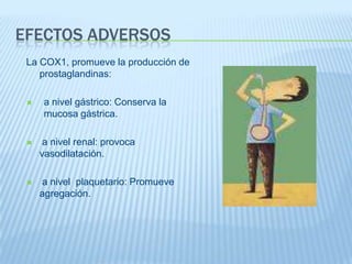 Se encuentra en la mayoría de los tejidos, particularmente en: