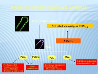 PRODUCCIÓN DE PROSTAGLANDINAS Acido arquidónicoActividad  ciclooxigesa COX 1-2AINES PGH2PGE2TXA2PGF2 PGI2Agrega plaquetasVasoconstricciónDisminuye agregaciónVasodilatación   liberación reninaProducción HCl  moco protector  Vasoodilatador   Diuresis y natruresisDolorinflamación