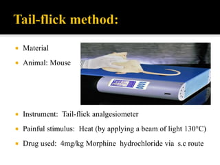  Material
 Animal: Mouse
 Instrument: Tail-flick analgesiometer
 Painful stimulus: Heat (by applying a beam of light 130°C)
 Drug used: 4mg/kg Morphine hydrochloride via s.c route
 