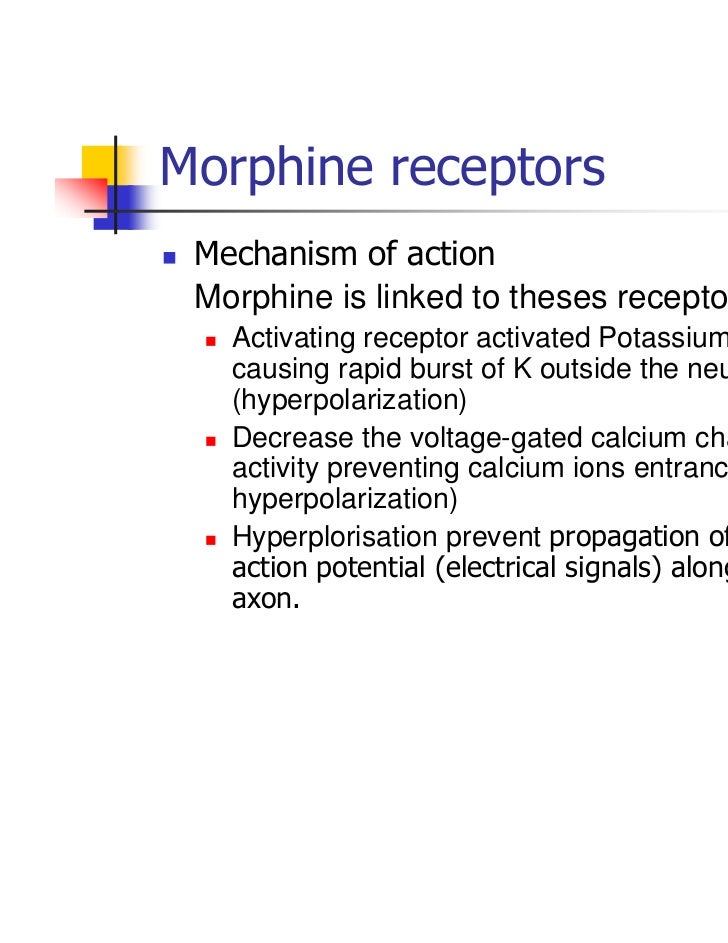 morphine mechanism of action