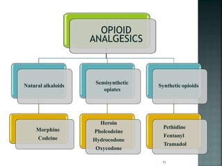 Natural alkaloids
Morphine
Codeine
Semisynthetic
opiates
Heroin
Pholcodeine
Hydrocodone
Oxycodone
Synthetic opioids
Pethidine
Fentanyl
Tramadol
11
 