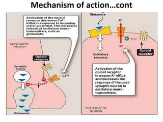 Mechanism of action…cont
11
 