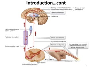 Introduction…cont
3
 