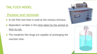 TAIL FLICK MODEL
Purpose and rationale
 In tail flick test heat is used as the noxious stimulus.
 Dependent variable is the time taken by the animal to
flick its tail.
 The morphine like drugs are capable of prolonging the
reaction time.
 