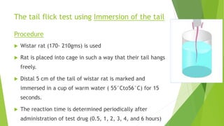 The tail flick test using Immersion of the tail
Procedure
 Wistar rat (170- 210gms) is used
 Rat is placed into cage in such a way that their tail hangs
freely.
 Distal 5 cm of the tail of wistar rat is marked and
immersed in a cup of warm water ( 55°Cto56°C) for 15
seconds.
 The reaction time is determined periodically after
administration of test drug (0.5, 1, 2, 3, 4, and 6 hours)
 