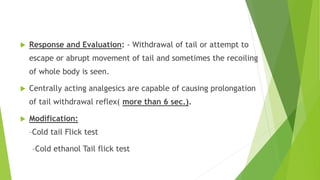  Response and Evaluation: - Withdrawal of tail or attempt to
escape or abrupt movement of tail and sometimes the recoiling
of whole body is seen.
 Centrally acting analgesics are capable of causing prolongation
of tail withdrawal reflex( more than 6 sec.).
 Modification:
–Cold tail Flick test
–Cold ethanol Tail flick test
 
