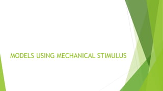MODELS USING MECHANICAL STIMULUS
 
