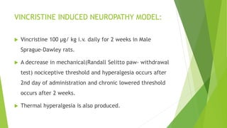 VINCRISTINE INDUCED NEUROPATHY MODEL:
 Vincristine 100 μg/ kg i.v. daily for 2 weeks in Male
Sprague-Dawley rats.
 A decrease in mechanical(Randall Selitto paw- withdrawal
test) nociceptive threshold and hyperalgesia occurs after
2nd day of administration and chronic lowered threshold
occurs after 2 weeks.
 Thermal hyperalgesia is also produced.
 