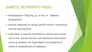 DIABETIC NEUROPATHY MODEL:
 Streptozotocin 75mg/kg i.p. in rats  diabetes
development
 Animals subjected to various painful stimuli- mechanical,
thermal and chemical.
 A decrease in reaction threshold to noxious heat stimuli
and to non- painful thermal and mechanical stimulation
serves as evidence for hyperalgesia and allodynia.(2
weeks of establishment of diabetes)
 