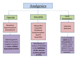 Analgesics
Opioids NSAIDS Local
Anesthetics
Morphine
Buprenorphine
Butorphanol
AIbuprofen
Carprofen
Diclofenac
Acetaminophen
Aspirin
Ibuprofen
Lidocaine
Xylocaine
Opioid agonists
bind to G-protein
coupled receptors
to cause cellular
hyperpolarisation
Mechanism of
action of NSAIDs
is the inhibition
of the enzyme
cyclooxygenase
(COX).
LAs reversibly
inhibit nerve
transmission by
binding voltage-
gated sodium
channels (Nav) in
the nerve plasma
membrane.
 