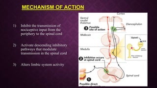 MECHANISM OF ACTION
1) Inhibit the transmission of
nociceptive input from the
periphery to the spinal cord
2) Activate descending inhibitory
pathways that modulate
transmission in the spinal cord
3) Alters limbic system activity
 