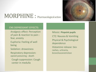 MORPHINE : Pharmacologicalaction
CNS DEPRESSANT EFFECTS:
Analgesic effect: Perception
of pain & reaction to pain :
fear, anxiety
Euphoria: Feeling of well
being
Sedation: drowsiness
Respiratory depression:
opioid poisoning : death
Cough suppression: Cough
center in medulla
Miosis: Pinpoint pupils
CTZ: Nausea & Vomiting
Physical & Psychological
dependence
Histamine release: Skin
rashes, urticaria,
bronchoconstriction
 