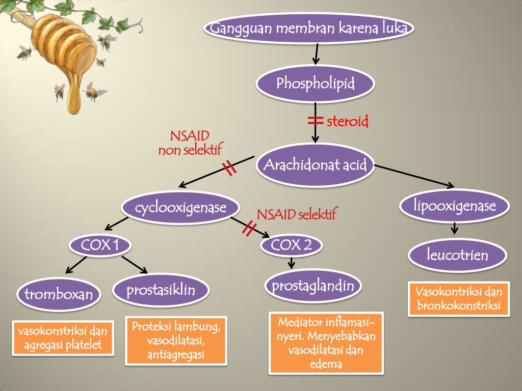 Analgesik antiinflamasi antipiretik