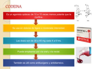 CODEINA
Es un agonista opiáceo de 10 a 15 veces menos potente que la
morfina.
Se usa en dolores de ligera a moderada intensidad.
También es útil como antitusígeno y antidiarreico.
Las dosis son de 30 a 45 mg cada 4 a 6 hrs.
Puede emplearse por vía oral y vía rectal.
 