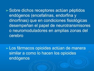 ➢Sobre dichos receptores actúan péptidos
endógenos (encefalinas, endorfina y
dinorfinas) que en condiciones fisiológicas
desempeñan el papel de neurotransmisores
o neuromoduladores en amplias zonas del
cerebro
➢Los fármacos opioides actúan de manera
similar a como lo hacen los opioides
endógenos
 