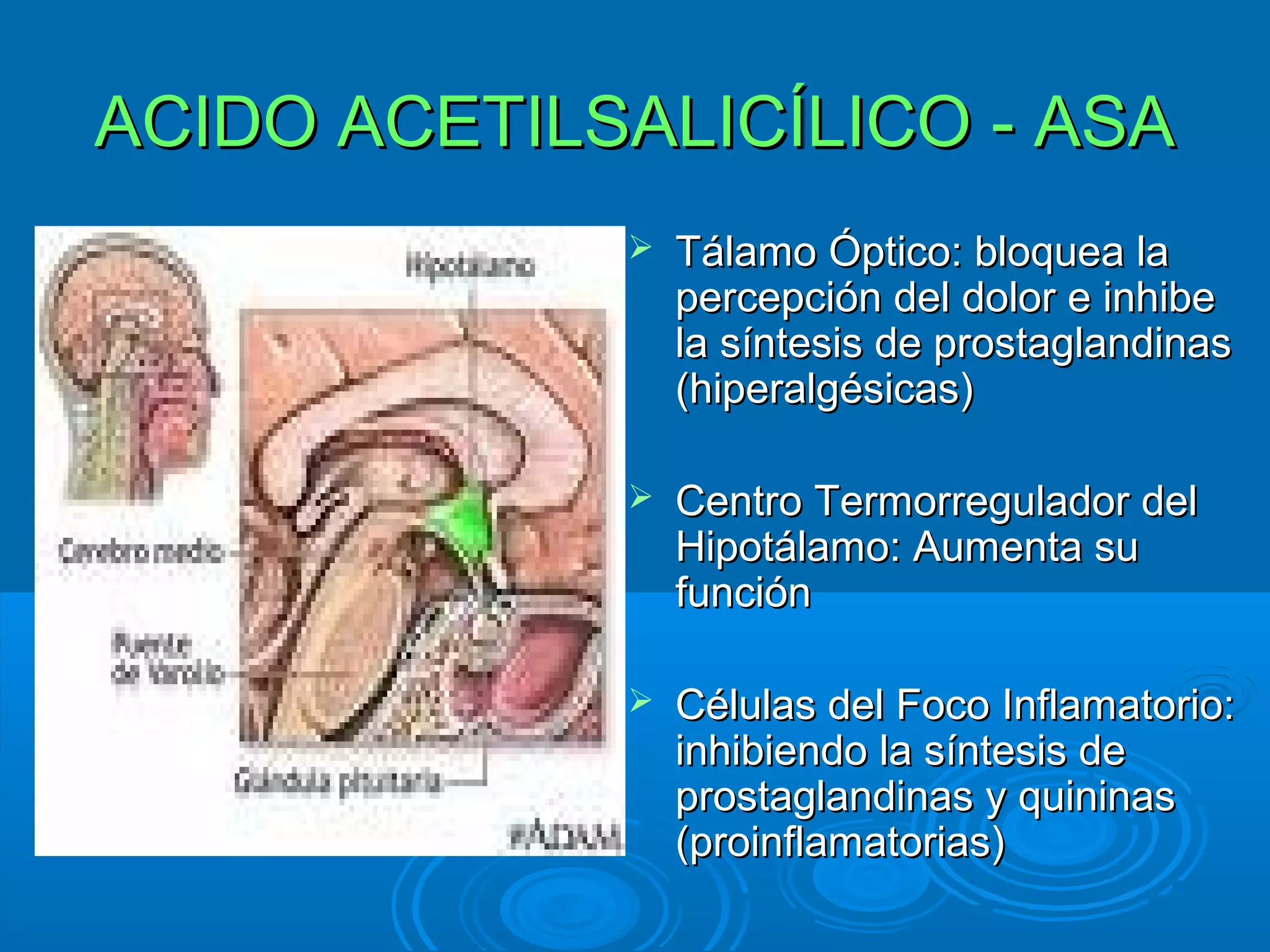 ACIDO ACETILSALICÍLICO - ASA
                Tálamo Óptico: bloquea la
                 percepción del dolor e inhibe
                 la síntesis de prostaglandinas
                 (hiperalgésicas)

                Centro Termorregulador del
                 Hipotálamo: Aumenta su
                 función

                Células del Foco Inflamatorio:
                 inhibiendo la síntesis de
                 prostaglandinas y quininas
                 (proinflamatorias)
 