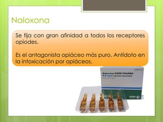 Naloxona
Se fija con gran afinidad a todos los receptores
opiodes.
Es el antagonista opiáceo más puro. Antídoto en
la intoxicación por opiáceos.
 