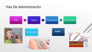 Vías De Administración
Oral Tópica Intravenosa Conjuntival
Intramuscular Rectal
 