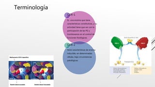 Terminología
COX-1
Es una enzima que tiene
características constitutivas, y su
actividad tiene que ver con la
participación de las PG y
tromboxanos en el control de
funciones fisiológicas.
COX-2
tiene características de enzima
inducible, en determinadas
células, bajo circunstancias
patológicas.
 