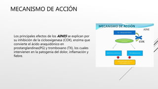 MECANISMO DE ACCIÓN
Los principales efectos de los AINES se explican por
su inhibición de la ciclooxigenasa (COX), enzima que
convierte el ácido araquidónico en
prostanglandinas(PG) y tromboxano (TX), los cuales
intervienen en la patogenia del dolor, inflamación y
fiebre.
 