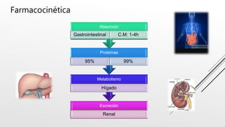Farmacocinética
Excreción
Renal
Metabolismo
Hígado
Proteínas
95% 99%
Absorción
Gastrointestinal C.M: 1-4h
 