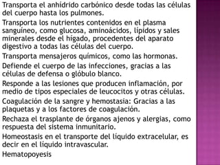 Transporta el anhídrido carbónico desde todas las células
del cuerpo hasta los pulmones.
Transporta los nutrientes contenidos en el plasma
sanguíneo, como glucosa, aminoácidos, lípidos y sales
minerales desde el hígado, procedentes del aparato
digestivo a todas las células del cuerpo.
Transporta mensajeros químicos, como las hormonas.
Defiende el cuerpo de las infecciones, gracias a las
células de defensa o glóbulo blanco.
Responde a las lesiones que producen inflamación, por
medio de tipos especiales de leucocitos y otras células.
Coagulación de la sangre y hemostasia: Gracias a las
plaquetas y a los factores de coagulación.
Rechaza el trasplante de órganos ajenos y alergias, como
respuesta del sistema inmunitario.
Homeostasis en el transporte del líquido extracelular, es
decir en el líquido intravascular.
Hematopoyesis
 