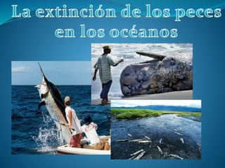 Extinción de peces en el Océano