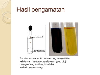 Hasil pengamatan




 Perubahan warna larutan tepung menjadi biru
 kehitaman menunjukkan larutan yang diuji
 mengandung amilum,tidaktahu
 kadar/konsentrasinya.
 
