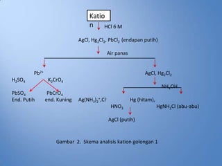 Katio
                                   n HCl 6 M
                              AgCl, Hg2Cl2, PbCl2 (endapan putih)

                                          Air panas


         Pb2+                                                AgCl, Hg2Cl2
H2SO4            K2CrO4
                                                                       NH4OH
PbSO4            PbCrO4
End. Putih      end. Kuning   Ag(NH3)2+,Cl-            Hg (hitam),
                                               HNO3                  HgNH2Cl (abu-abu)

                                              AgCl (putih)



                    Gambar 2. Skema analisis kation golongan 1
 