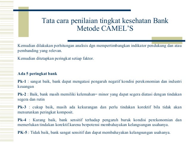 Analisa Kinerja Bank