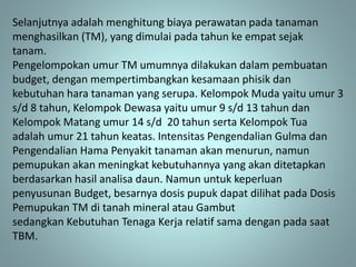 Selanjutnya adalah menghitung biaya perawatan pada tanaman
menghasilkan (TM), yang dimulai pada tahun ke empat sejak
tanam.
Pengelompokan umur TM umumnya dilakukan dalam pembuatan
budget, dengan mempertimbangkan kesamaan phisik dan
kebutuhan hara tanaman yang serupa. Kelompok Muda yaitu umur 3
s/d 8 tahun, Kelompok Dewasa yaitu umur 9 s/d 13 tahun dan
Kelompok Matang umur 14 s/d 20 tahun serta Kelompok Tua
adalah umur 21 tahun keatas. Intensitas Pengendalian Gulma dan
Pengendalian Hama Penyakit tanaman akan menurun, namun
pemupukan akan meningkat kebutuhannya yang akan ditetapkan
berdasarkan hasil analisa daun. Namun untuk keperluan
penyusunan Budget, besarnya dosis pupuk dapat dilihat pada Dosis
Pemupukan TM di tanah mineral atau Gambut
sedangkan Kebutuhan Tenaga Kerja relatif sama dengan pada saat
TBM.
 